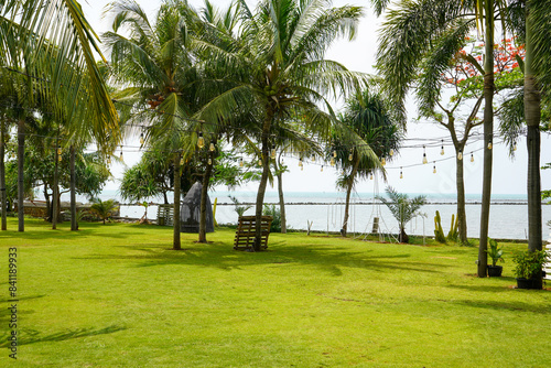 
A meadow on the edge of the beach filled with palm and coconut trees. Neatly arranged grass looks beautiful. Grass field in the resort hotel area on the beach. Jepara, Central Java, Indonesia. photo