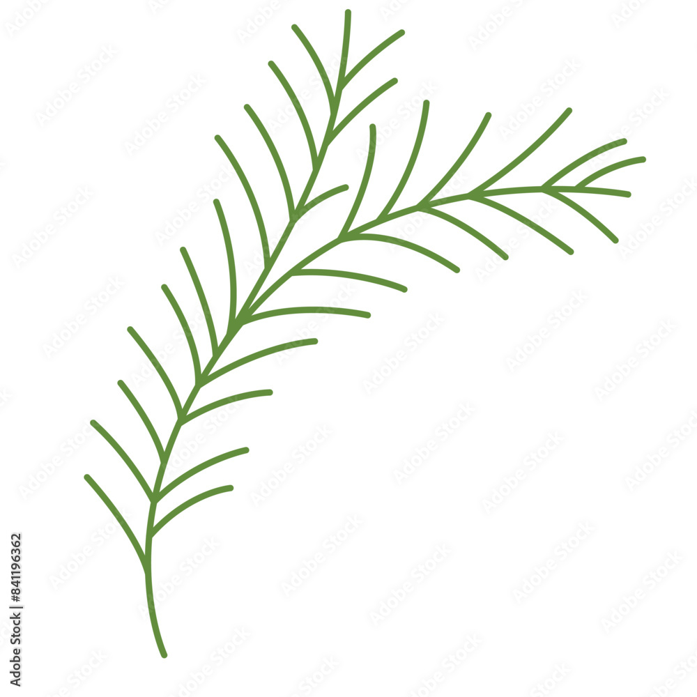 Fototapeta premium Christmas Greenery