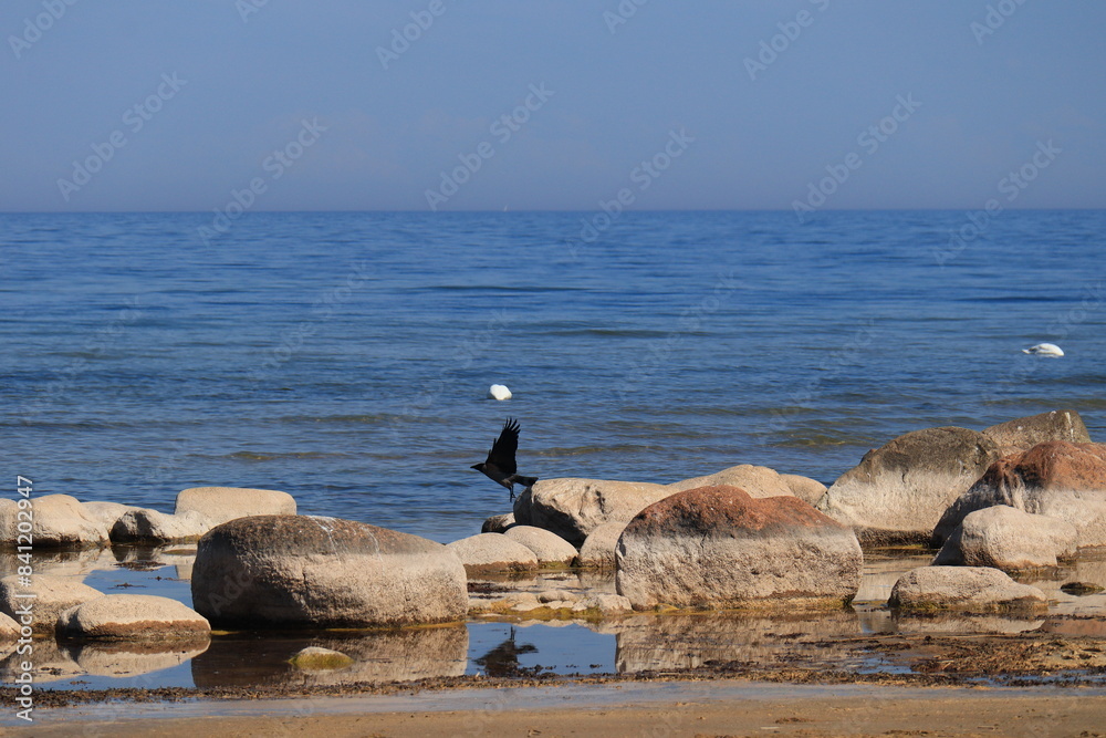 Fototapeta premium fisherman on the beach