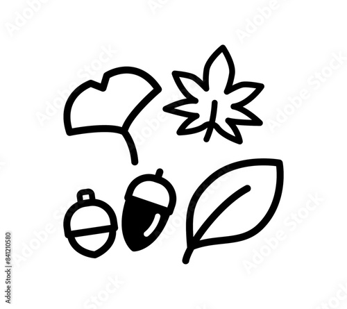 シンプルな木の実と落ち葉のイラスト
