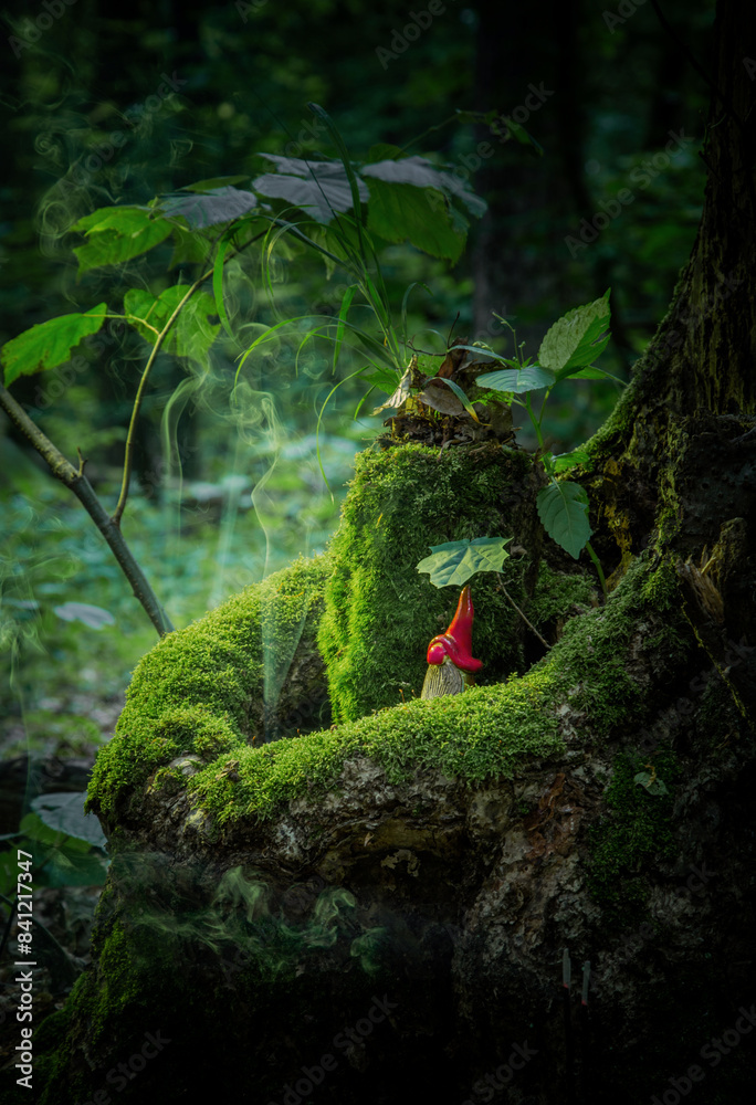 little dwarf in red hat in fairy forest little dwarf in red hat in fairy forest