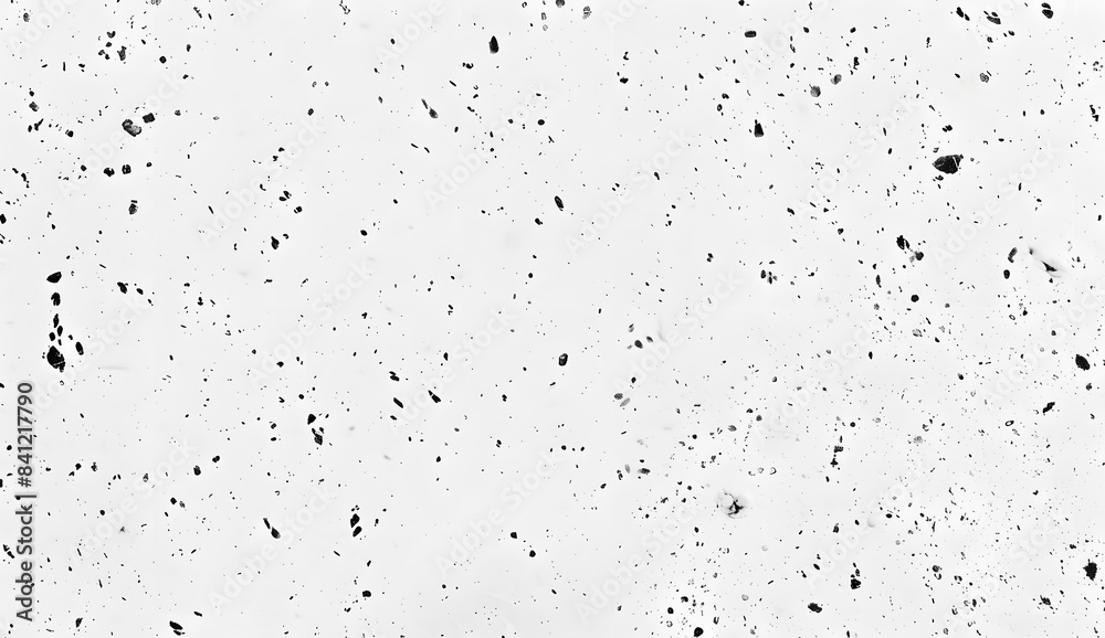 White Background with Black Speckles - High Resolution Texture White Background with Black Speckles - High Resolution Texture