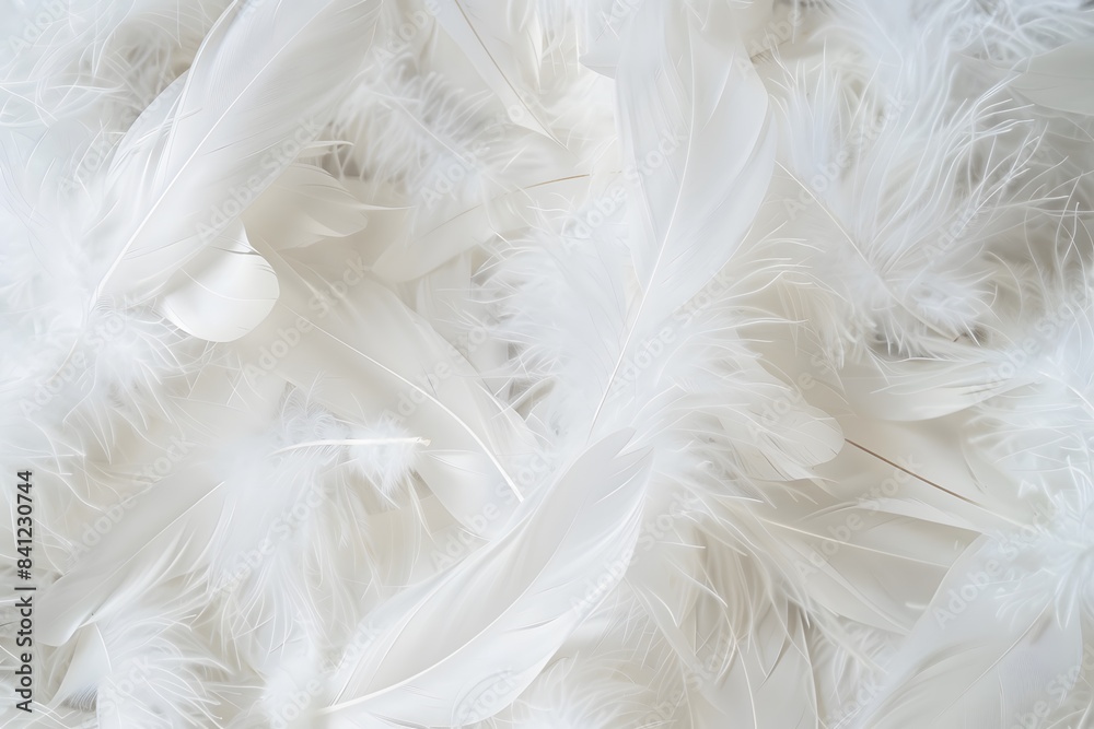 Fototapeta premium White Feather Texture Background - Soft, Fluffy, & Elegant