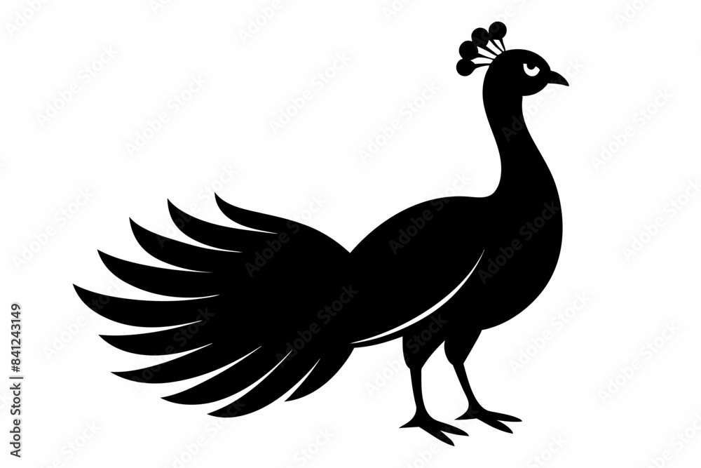 peacock silhouette vector illustration