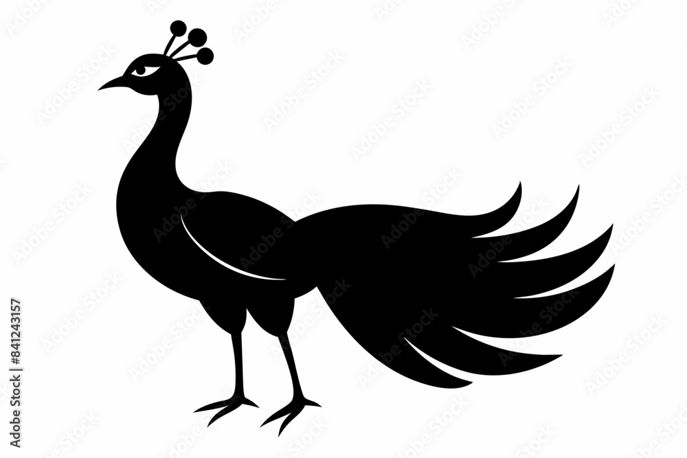 peacock silhouette vector illustration
