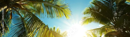 a lush palm tree stands tall against a clear blue sky, with the sun shining brightly in the background