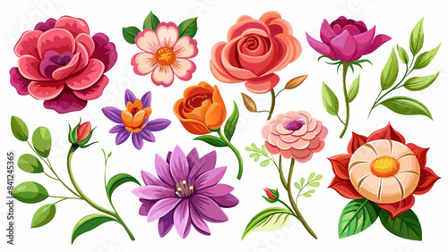 Vibrant Floral Collection for Creative Projects, Diverse Flower Set for Designers