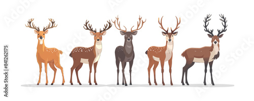 A group of deer standing in a line, with the tallest deer in the middle
