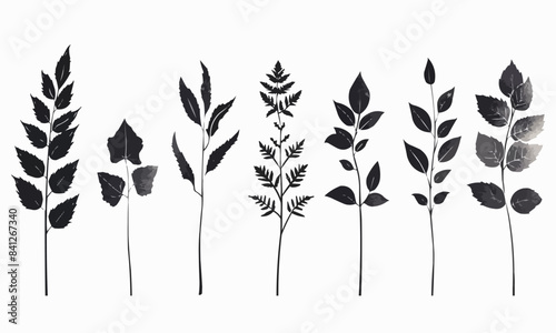 Set of leaves silhouette of beautiful plants, leaves, plant design. Vector illustration