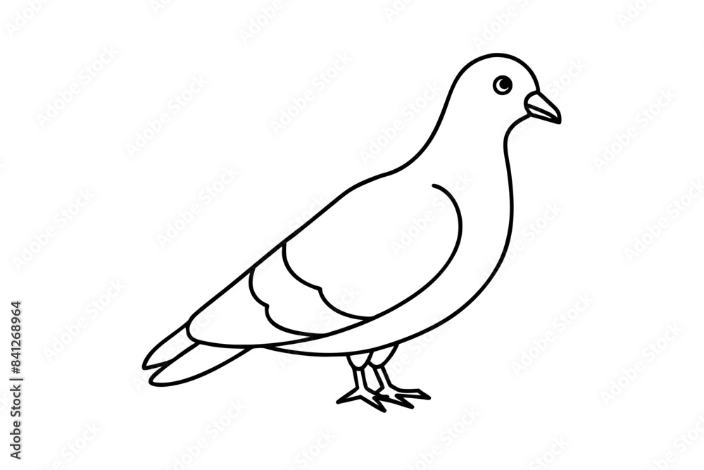 line art of a pigeon line art of a pigeon