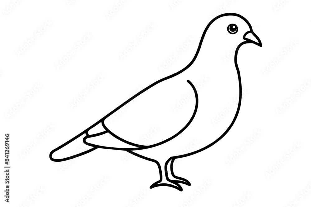 line art of a pigeon line art of a pigeon