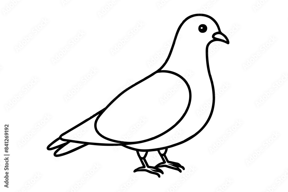 line art of a pigeon line art of a pigeon