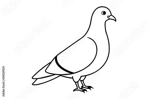 line art of a pigeon