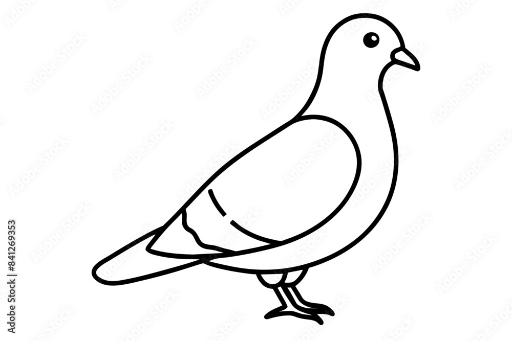 line art of a pigeon line art of a pigeon