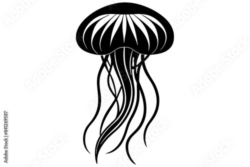 vector silhouette of  a jellyfish