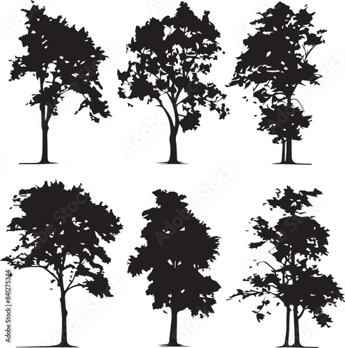 silhouettes of trees