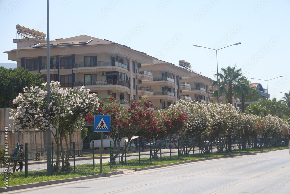 Naklejka premium a busy highway with a curb in the city with green spaces and a dividing metal mesh 2