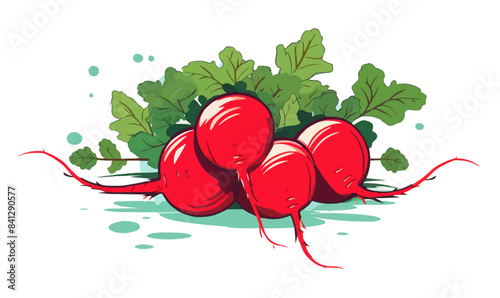 Radish vector flat minimalistic asset isolated vector style illustration