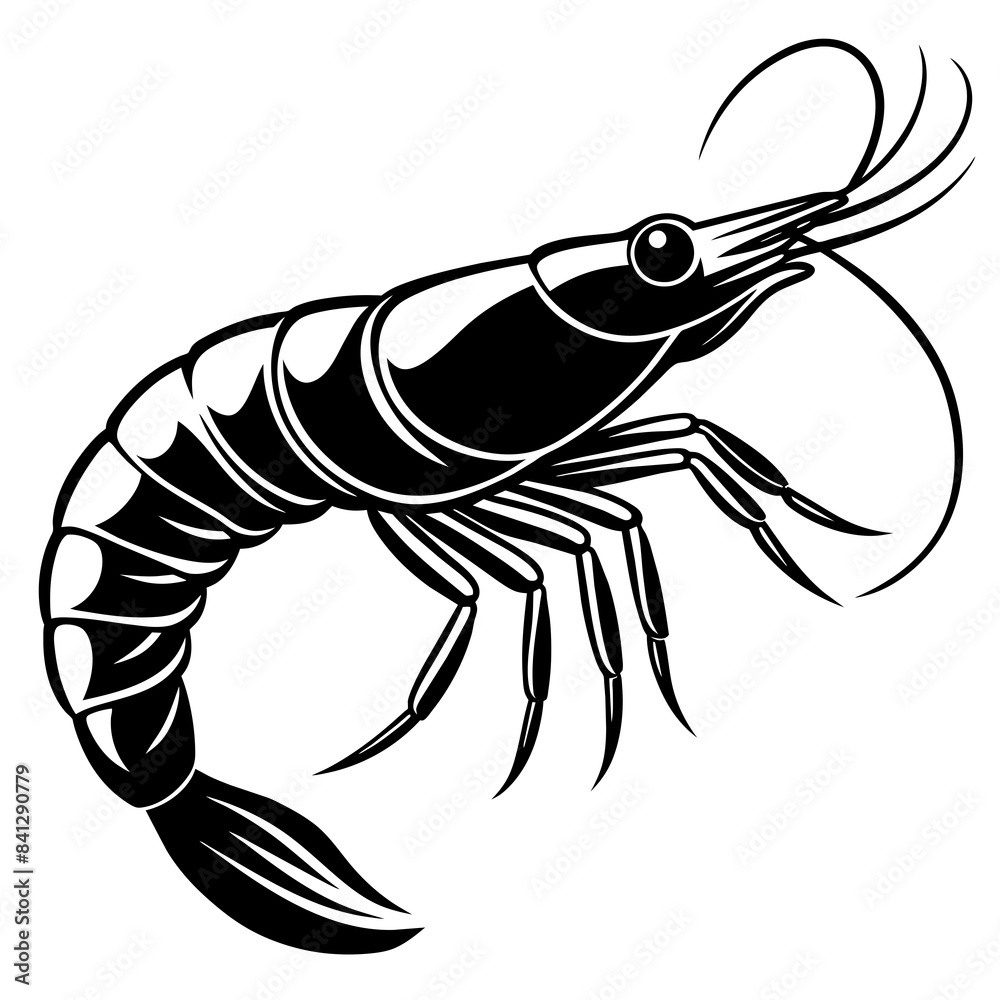 illustration of shrimp vector design illustration of shrimp vector design