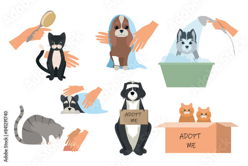 Set of homeless animals in cartoon style. Vector illustration of dogs and cats with inscriptions: adopt me isolated on white background. Careful care of animals: hair is combed, bathed, wiped, fed.