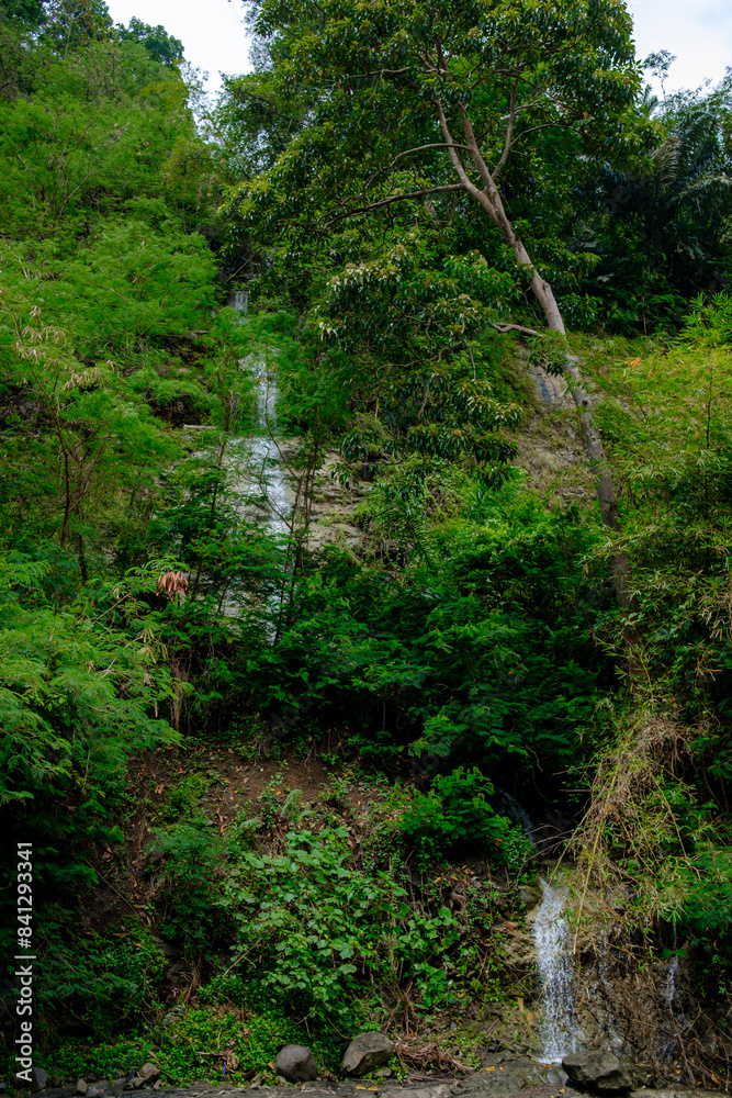 portrait of a beautiful waterfall with flowing water portrait of a beautiful waterfall with flowing water