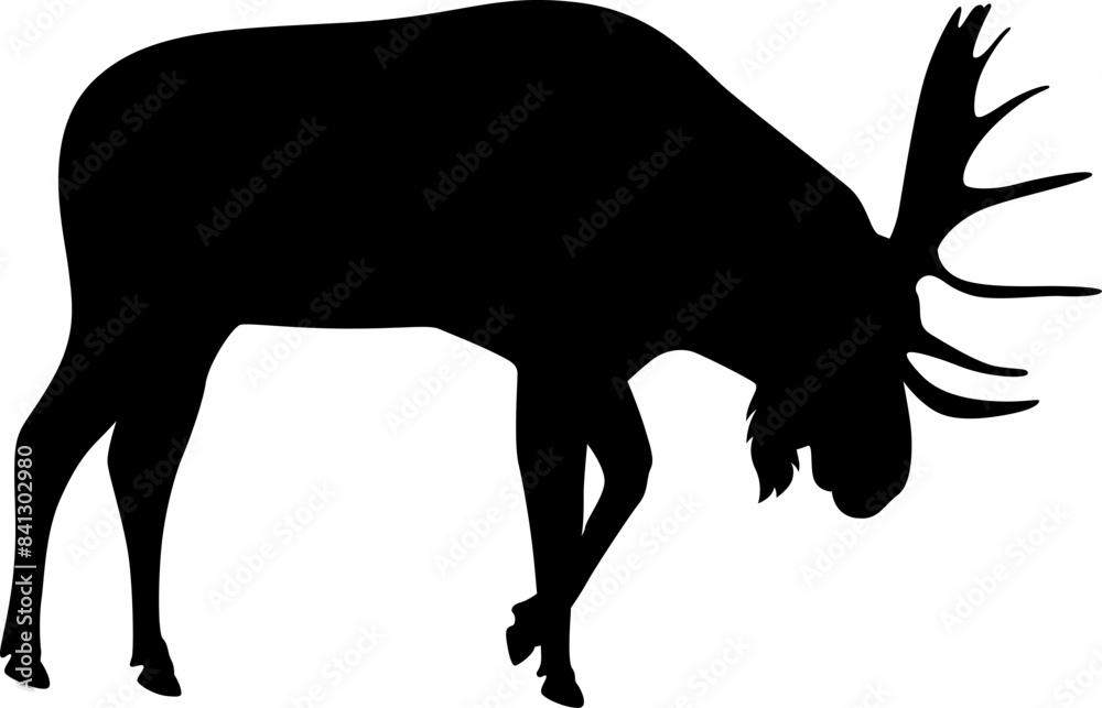 moose silhouette moose silhouette