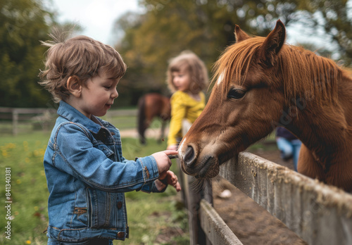 A little boy in a blue jacket and jeans, standing near a fence at a farm petting zoo feeding a brown colored horse from his hand