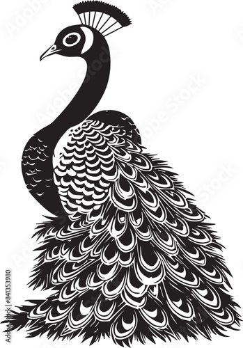 black and white peacock - Peacock vector illustration