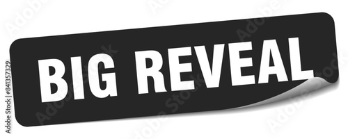 big reveal sticker. big reveal label