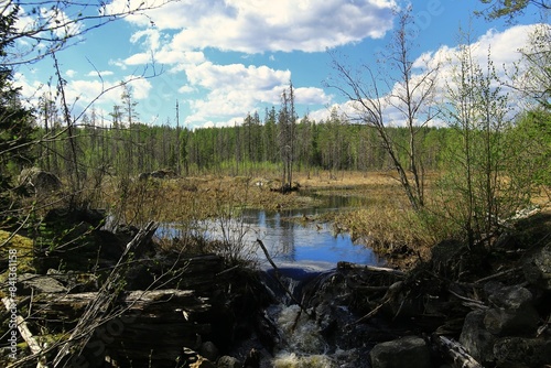 Forest stream cascade - Serene view of a forest stream in Bjornlandets national park, Sweden