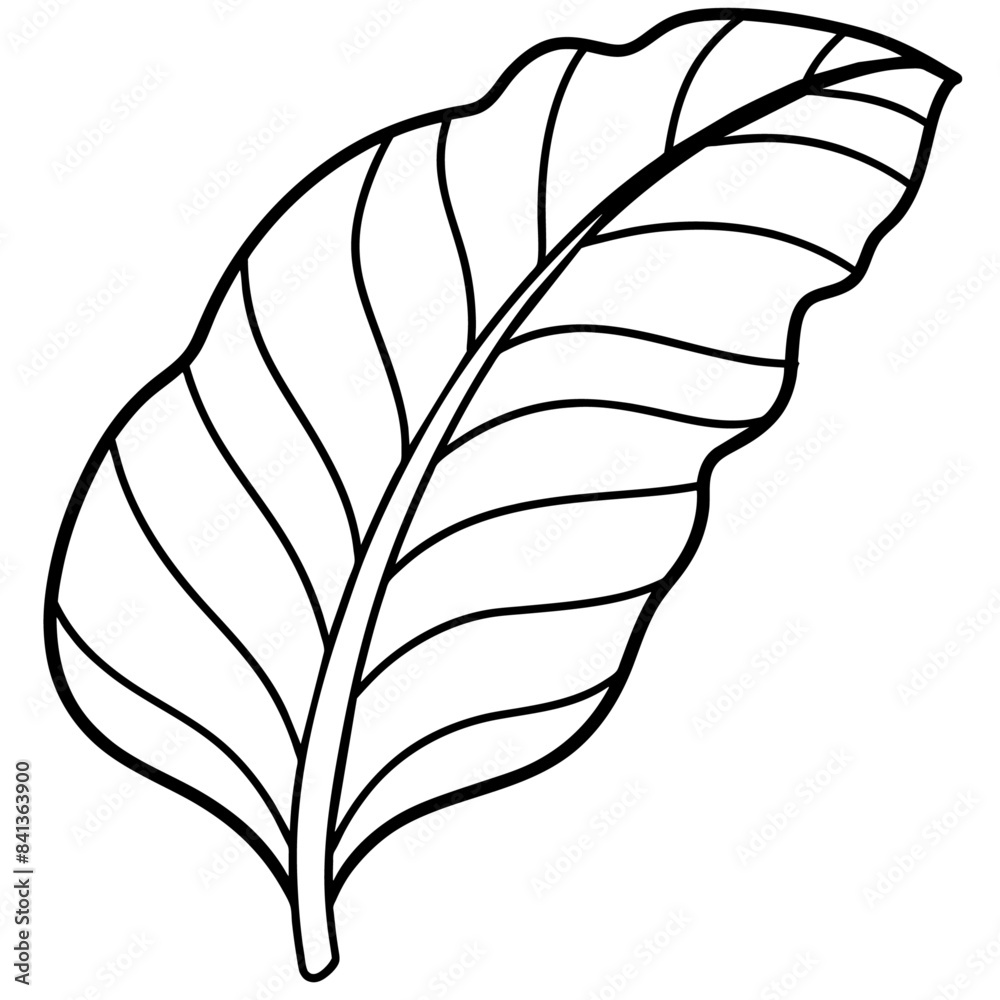 Banana leaf outline coloring book page line art drawing Banana leaf outline coloring book page line art drawing