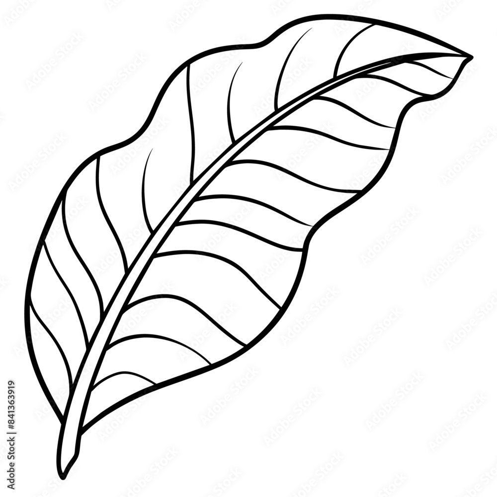 Banana leaf outline coloring book page line art drawing