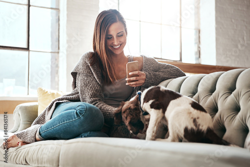 Phone, relax and woman with dog on sofa at home for social media, network and communication. Happy, female person and tech with pet in living room for bonding, connectivity and reading text message © peopleimages.com