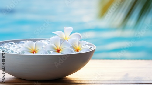 frangipani plumeria flower in clear water