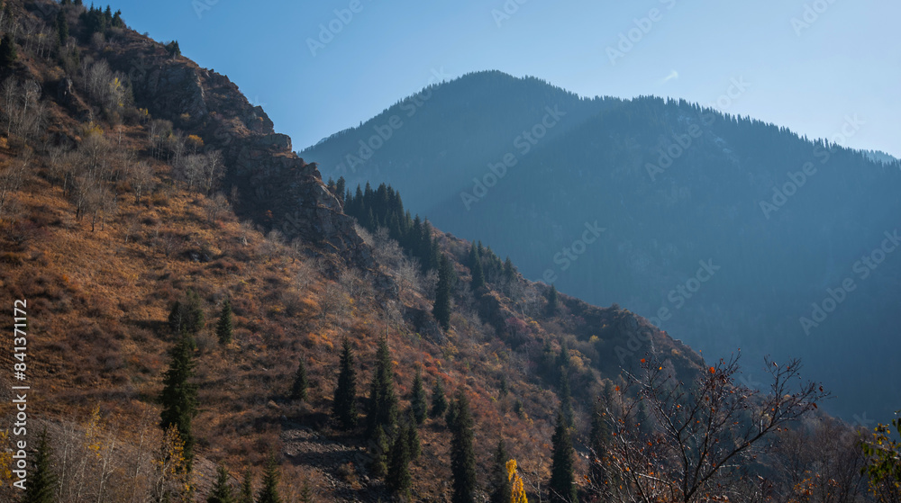 Beautiful autumn afternoon in mountains. Trees on the edge of a hill in fall colors. Wonderful countryside on a sunny weather in evening. Beautiful autumn afternoon in mountains. Trees on the edge of a hill in fall colors. Wonderful countryside on a sunny weather in evening.