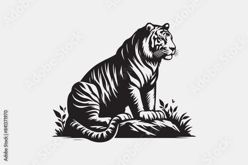 tiger illustration