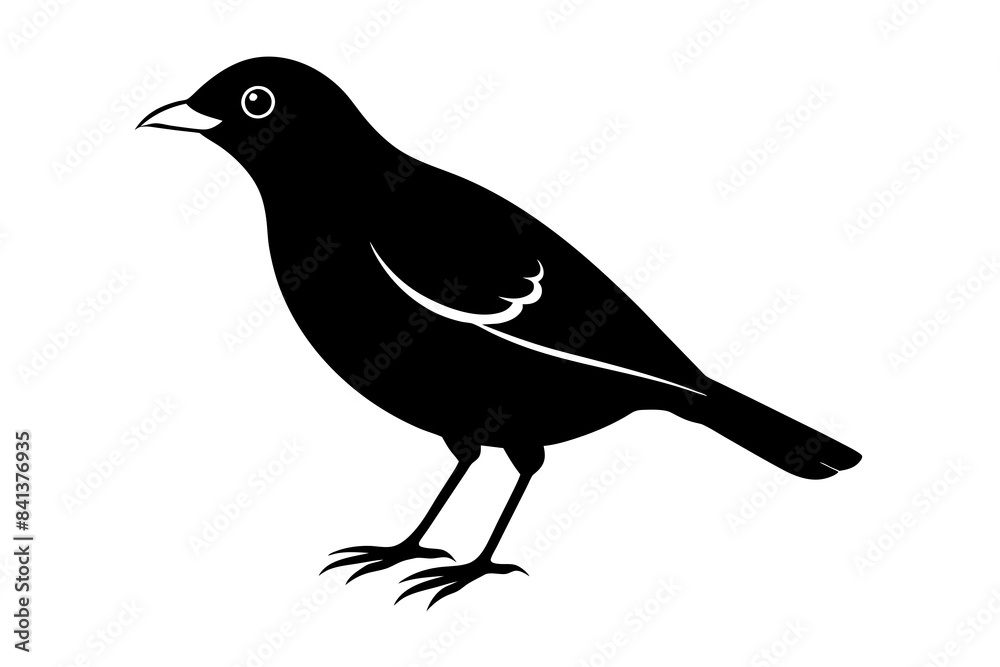 myna silhouette vector illustration myna silhouette vector illustration