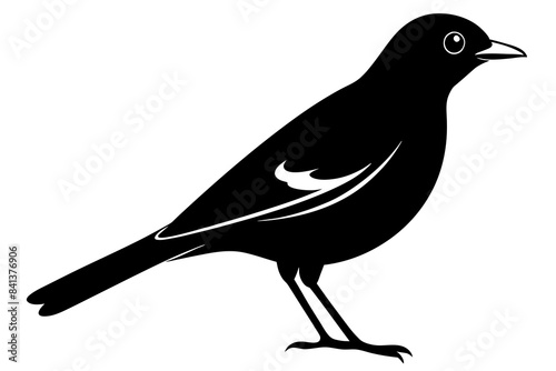 myna silhouette vector illustration