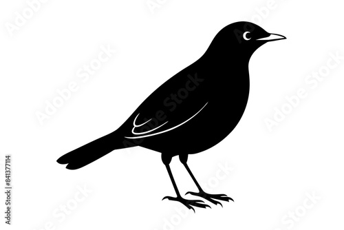myna silhouette vector illustration