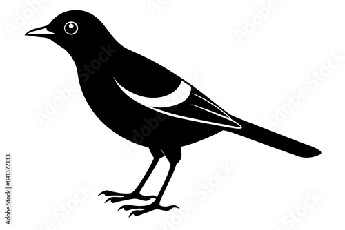 myna silhouette vector illustration