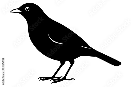 myna silhouette vector illustration