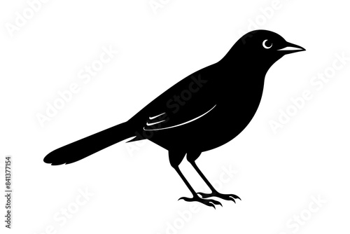 myna silhouette vector illustration