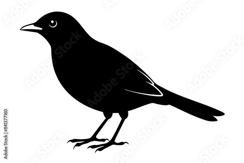 myna silhouette vector illustration