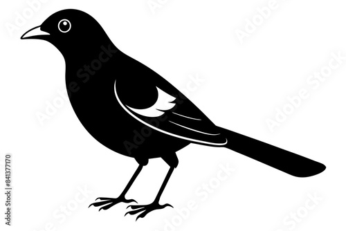 myna silhouette vector illustration