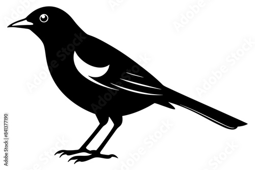 myna silhouette vector illustration
