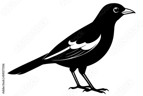 myna silhouette vector illustration