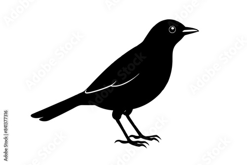 myna silhouette vector illustration