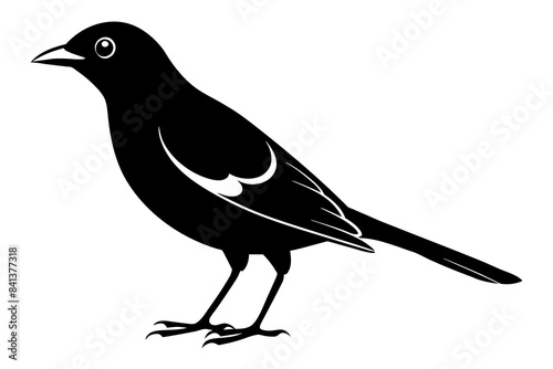 myna silhouette vector illustration