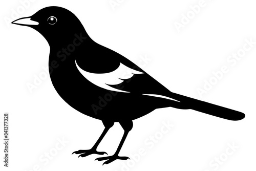 myna silhouette vector illustration