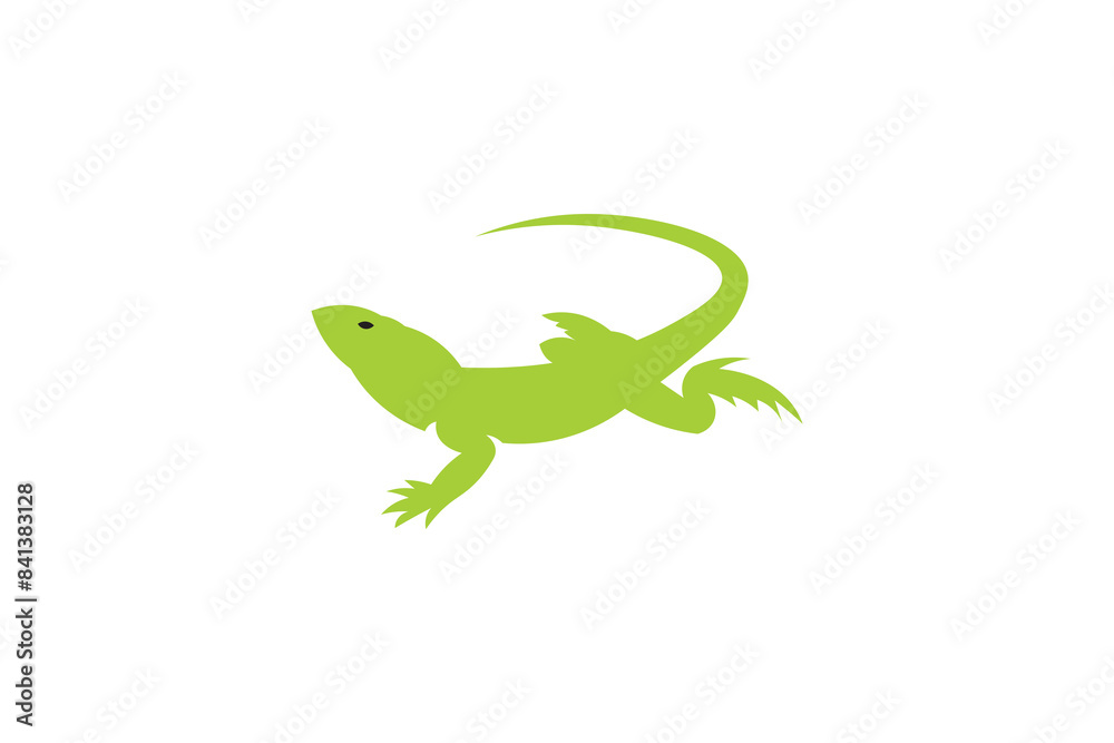 green lizard isolated on white green lizard isolated on white